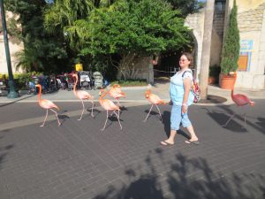 IMG_0077